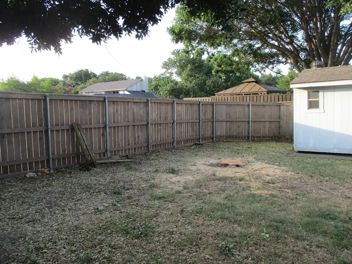 Cleared yard after professional tree removal in Farmersville Station