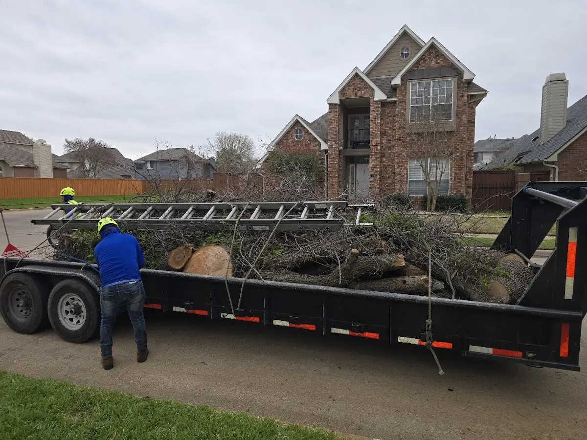 Expert Lot Clearing with proper safety equipment in Farmersville Station